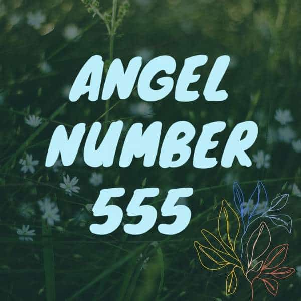 Angel Number 555 
