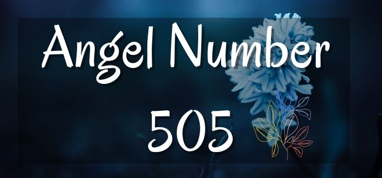 Angel Number 505